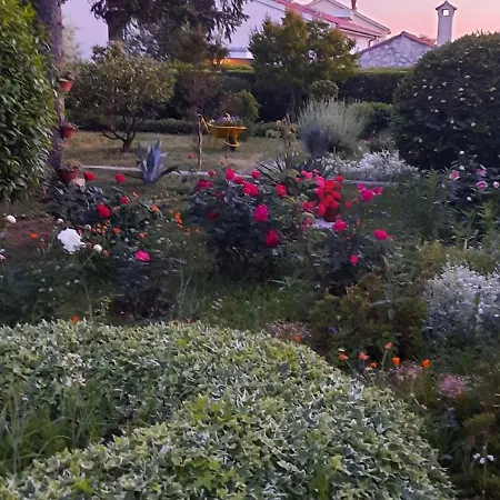 In - Riviera 7970 * זאדאר