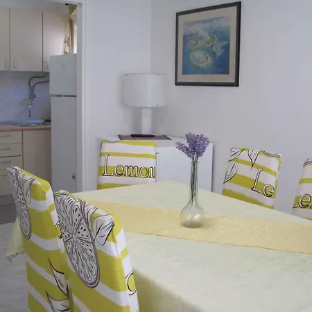 In - Riviera 7970 * Задар